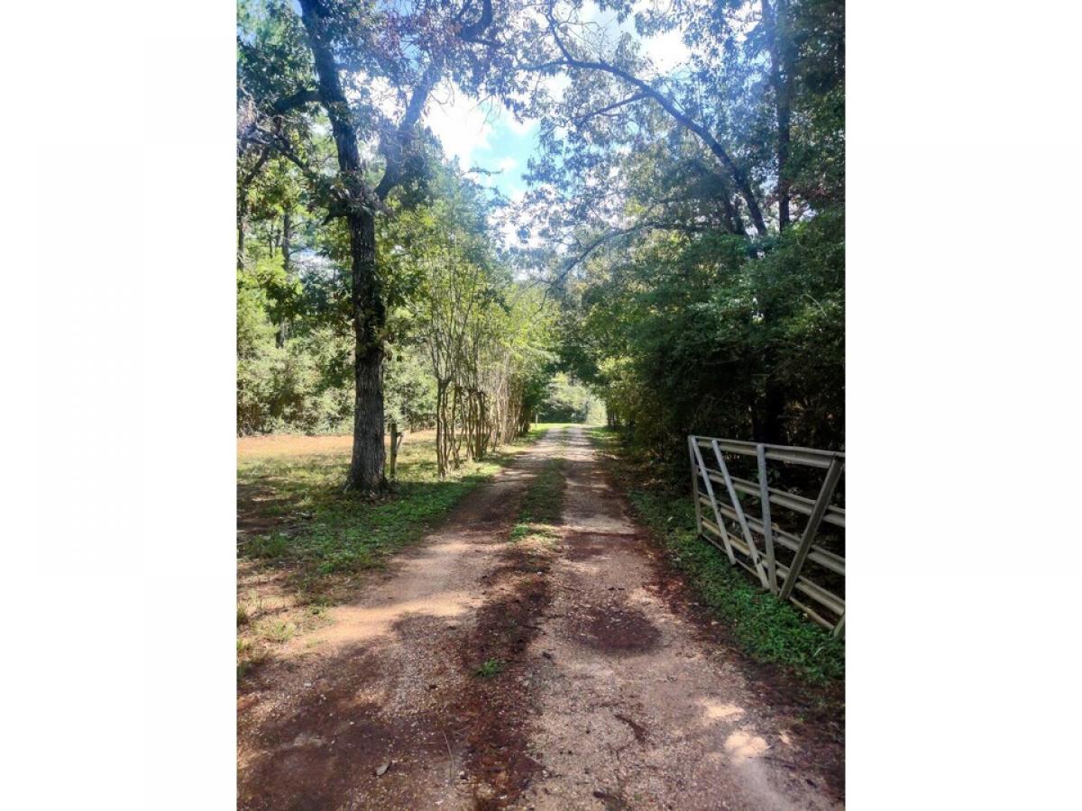 Picture of Home For Sale in Navasota, Texas, United States