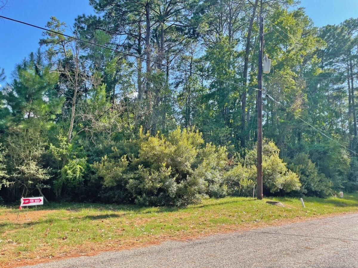 Picture of Home For Sale in Trinity, Texas, United States