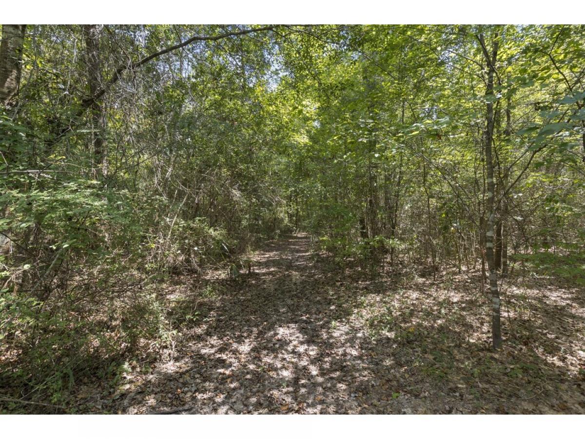 Picture of Home For Sale in Cleveland, Texas, United States