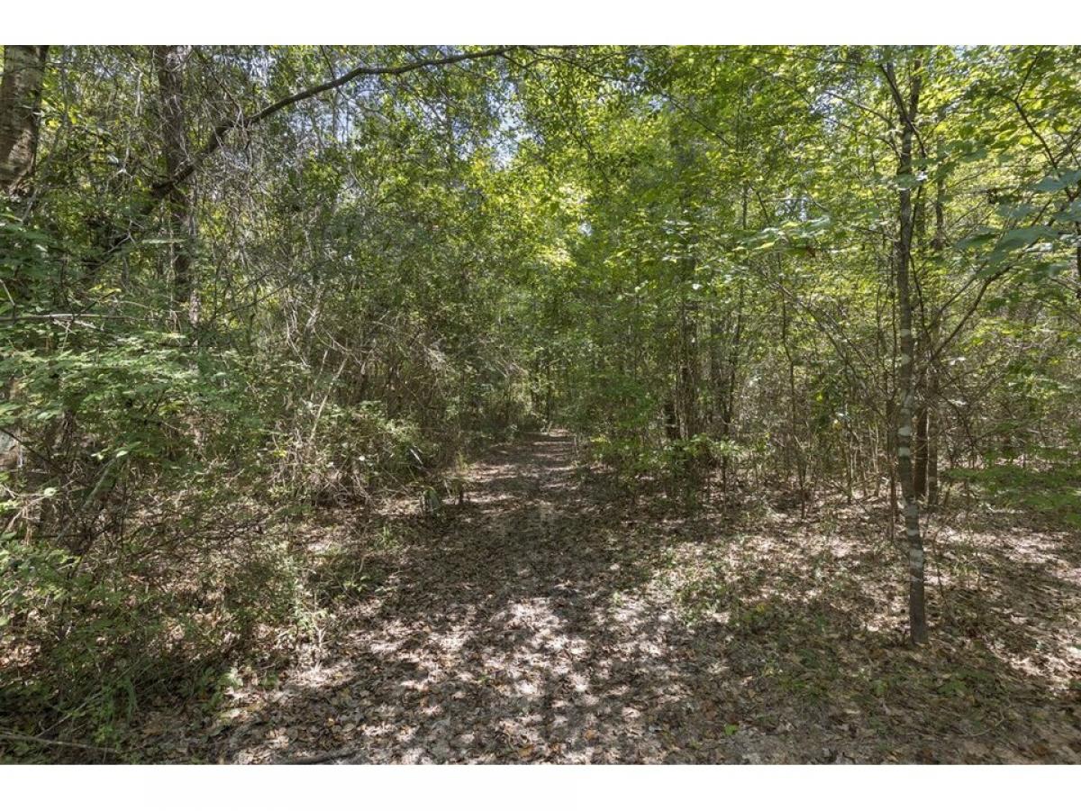 Picture of Residential Land For Sale in Cleveland, Texas, United States