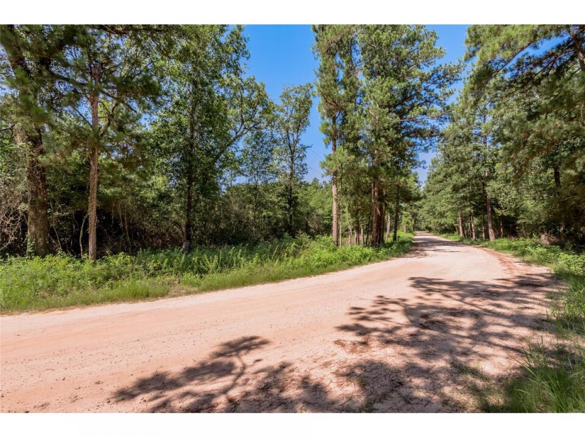 Picture of Home For Sale in Madisonville, Texas, United States