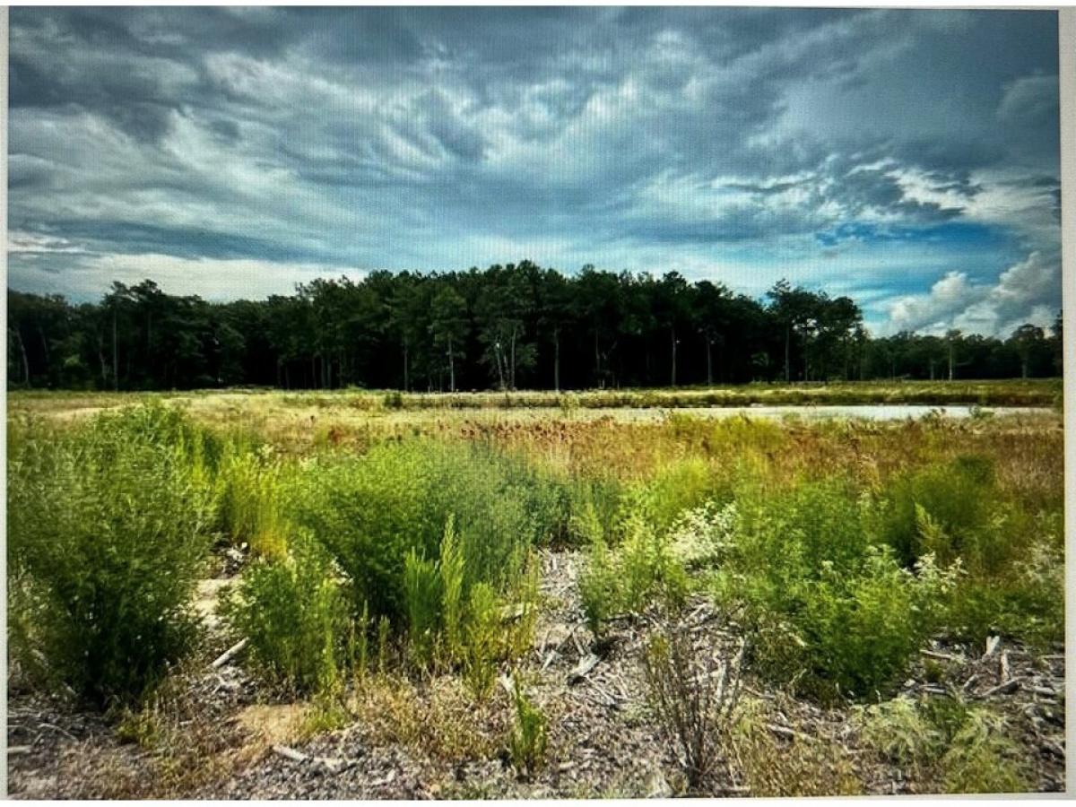 Picture of Residential Land For Sale in Cleveland, Texas, United States