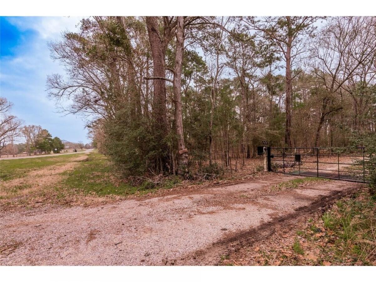 Picture of Residential Land For Sale in Trinity, Texas, United States