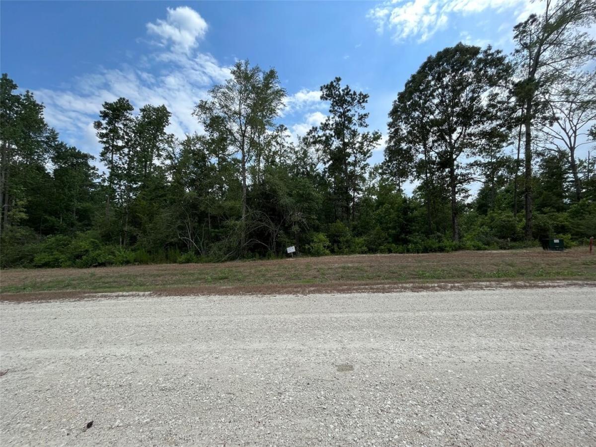 Picture of Home For Sale in Willis, Texas, United States