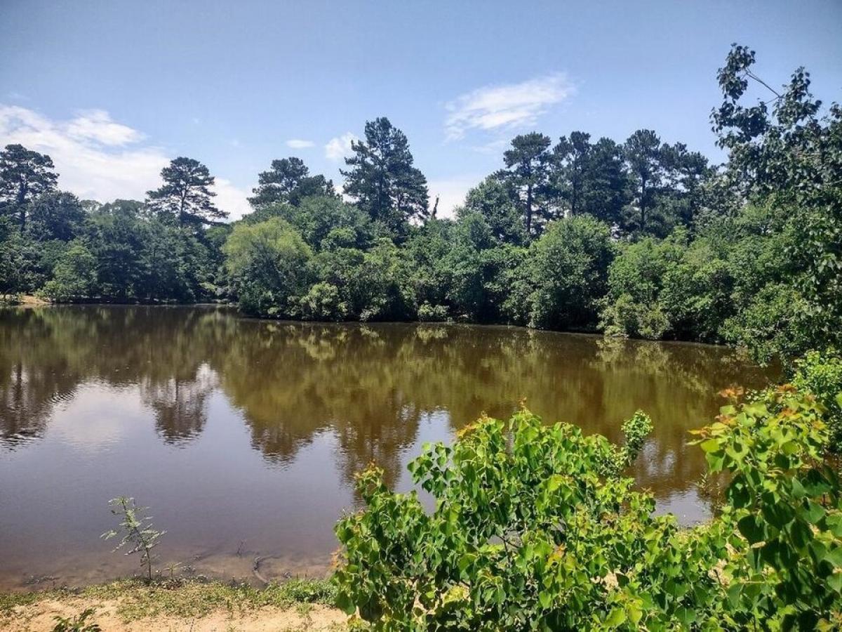 Picture of Residential Land For Sale in Magnolia, Texas, United States