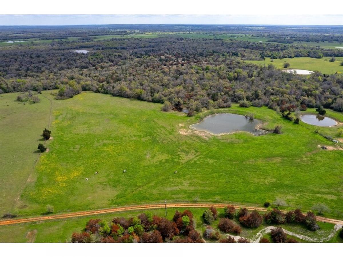 Picture of Residential Land For Sale in Calvert, Texas, United States