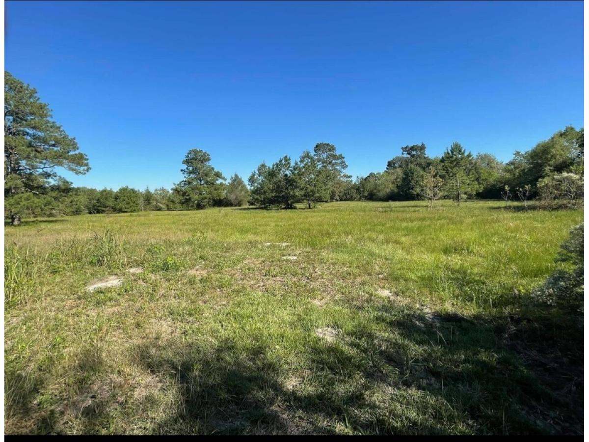 Picture of Home For Sale in Beaumont, Texas, United States