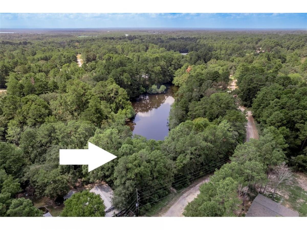 Picture of Residential Land For Sale in Trinity, Texas, United States