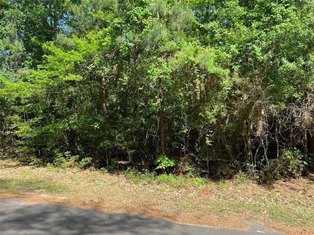 Picture of Home For Sale in Trinity, Texas, United States