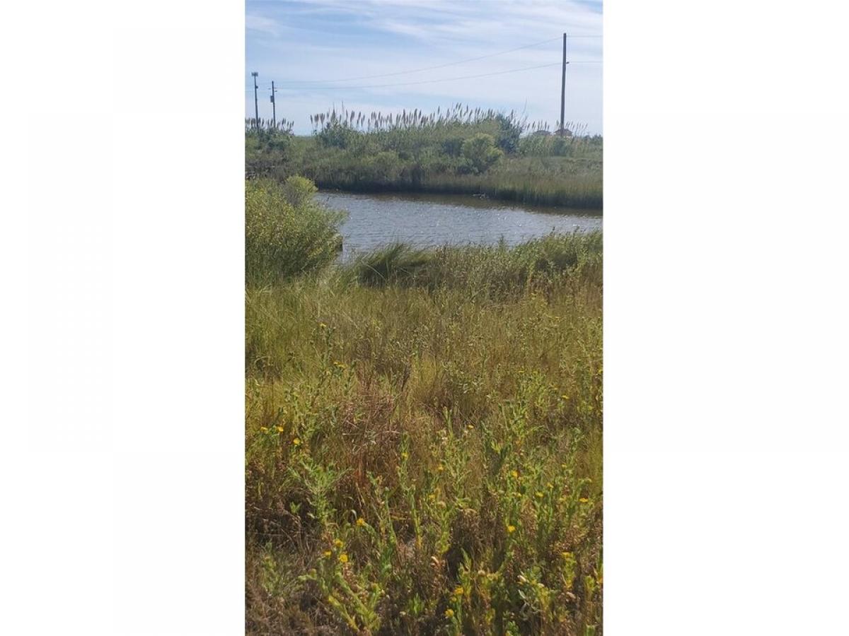 Picture of Residential Land For Sale in Gilchrist, Texas, United States