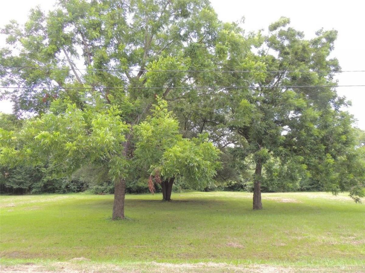 Picture of Residential Land For Sale in Magnolia, Texas, United States