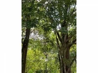 Residential Land For Sale in Wallis, Texas