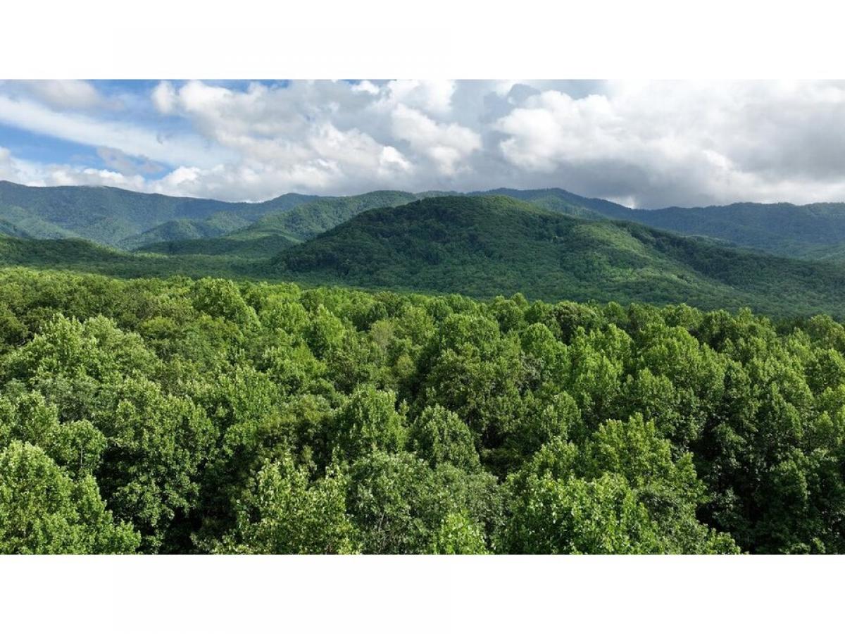 Picture of Residential Land For Sale in Gatlinburg, Tennessee, United States