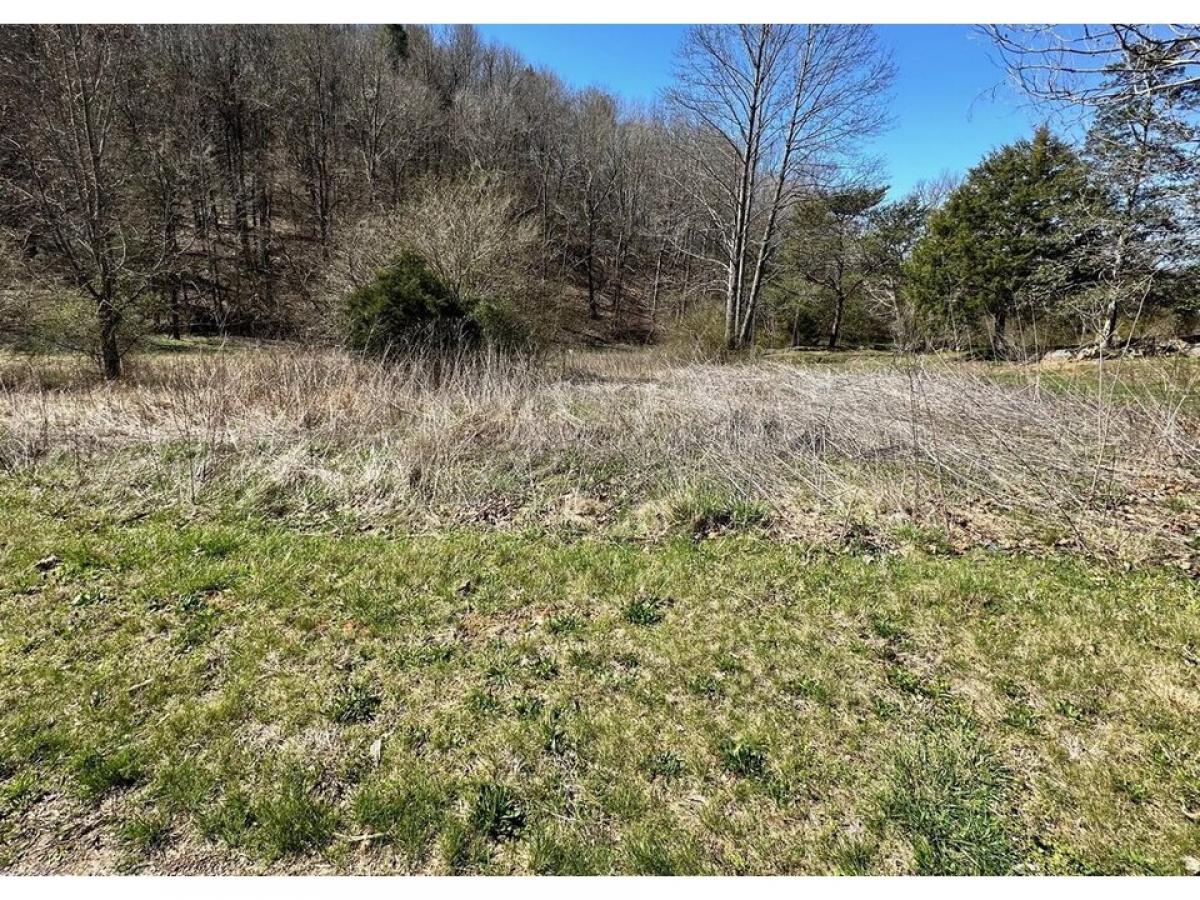 Picture of Residential Land For Sale in Cosby, Tennessee, United States