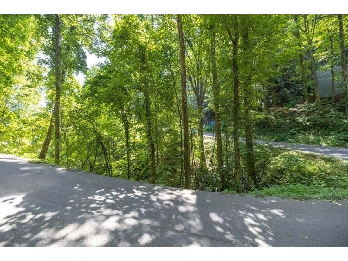 Picture of Residential Land For Sale in Gatlinburg, Tennessee, United States