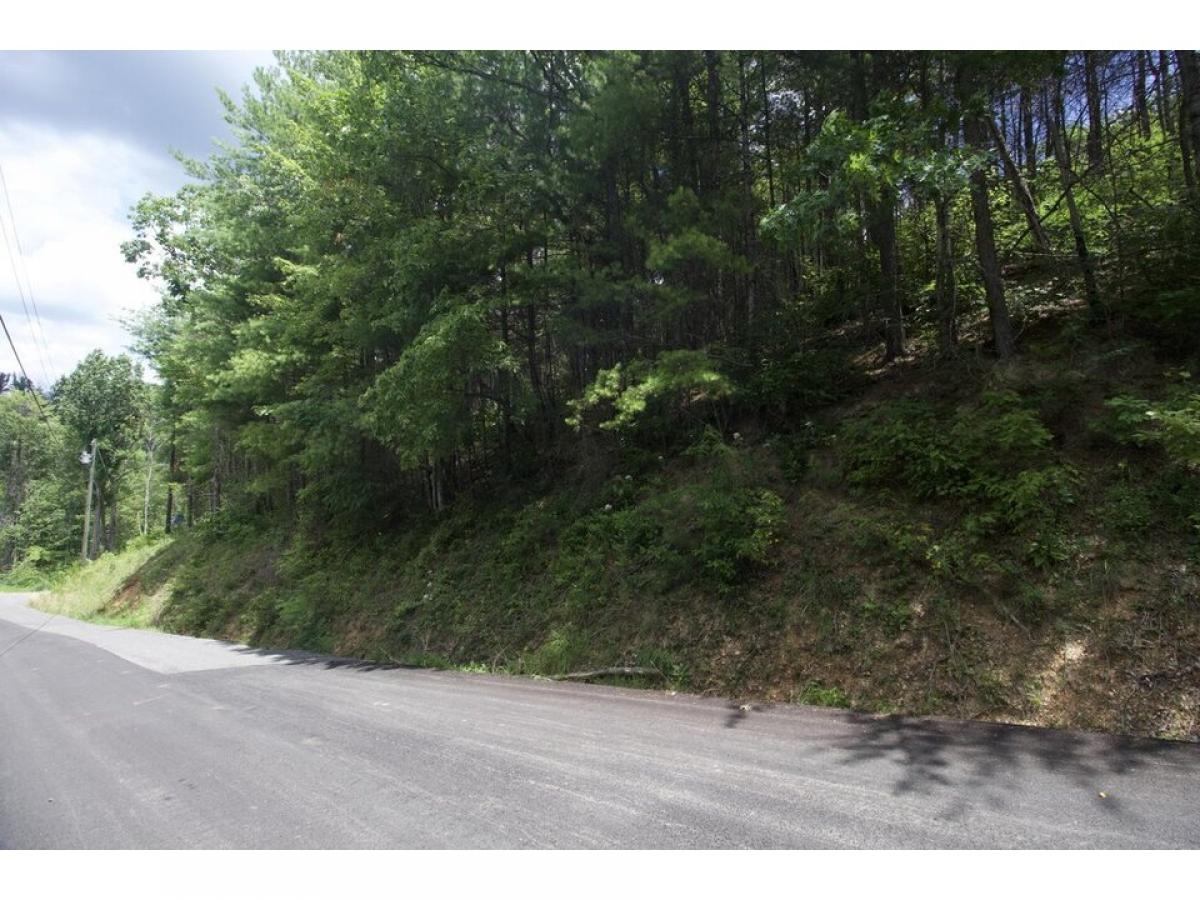 Picture of Residential Land For Sale in Sevierville, Tennessee, United States