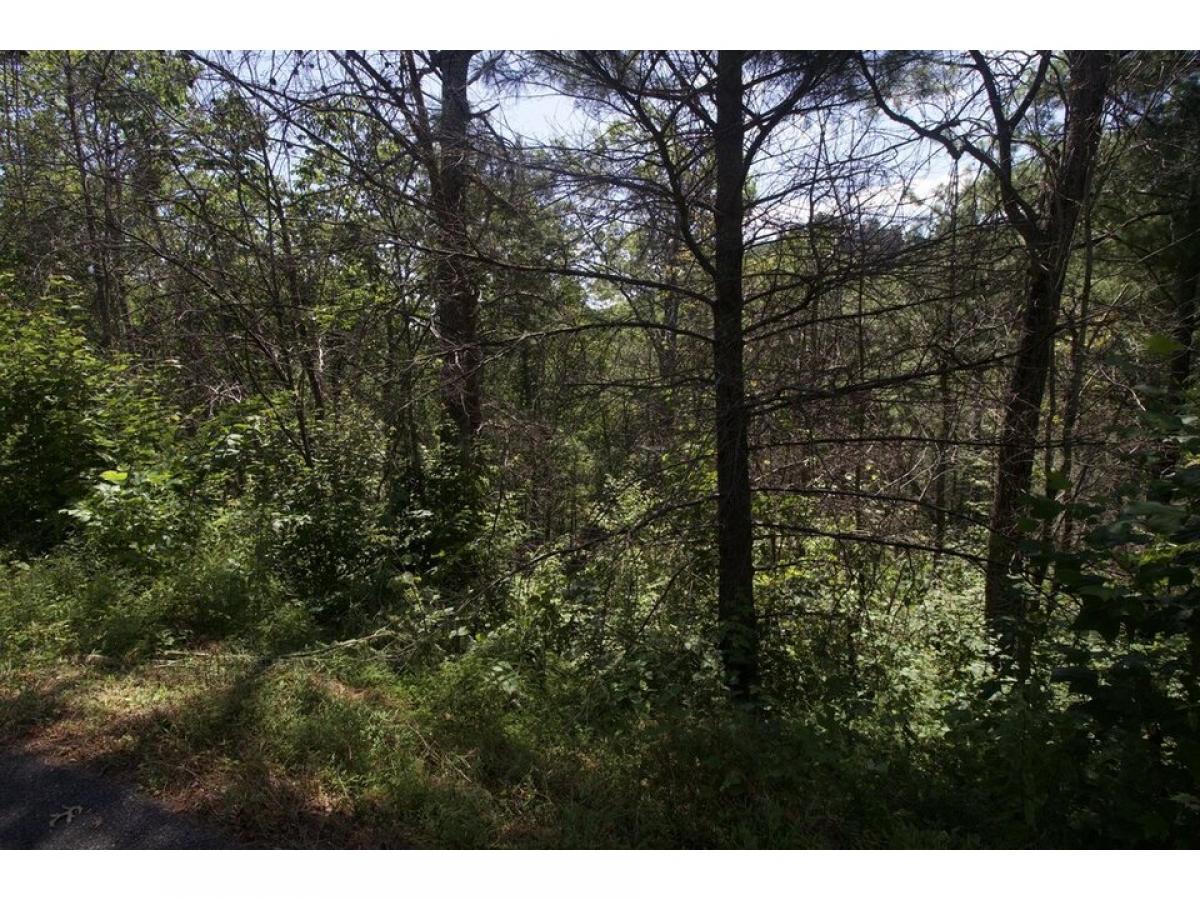 Picture of Residential Land For Sale in Sevierville, Tennessee, United States