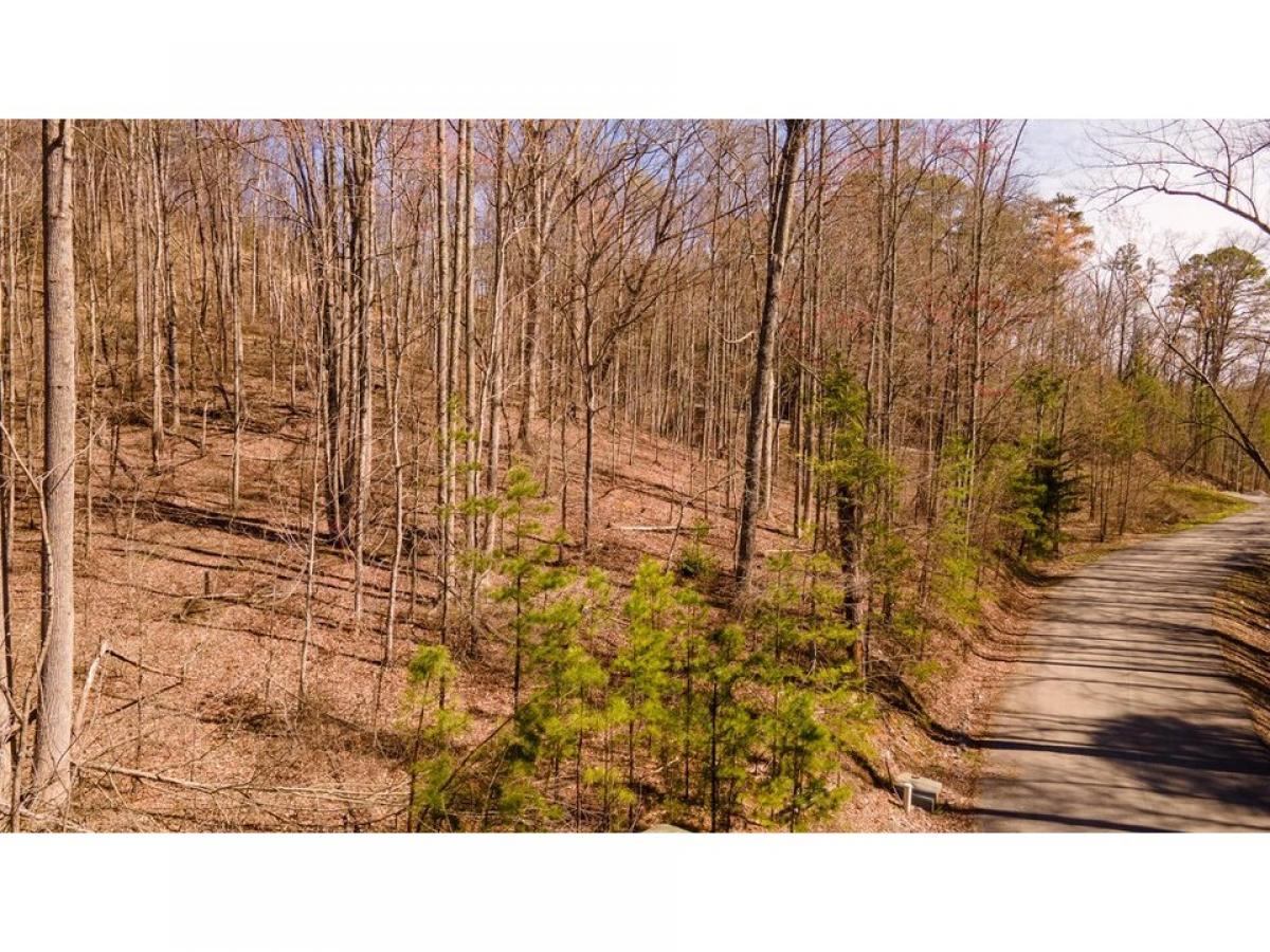 Picture of Residential Land For Sale in Sevierville, Tennessee, United States