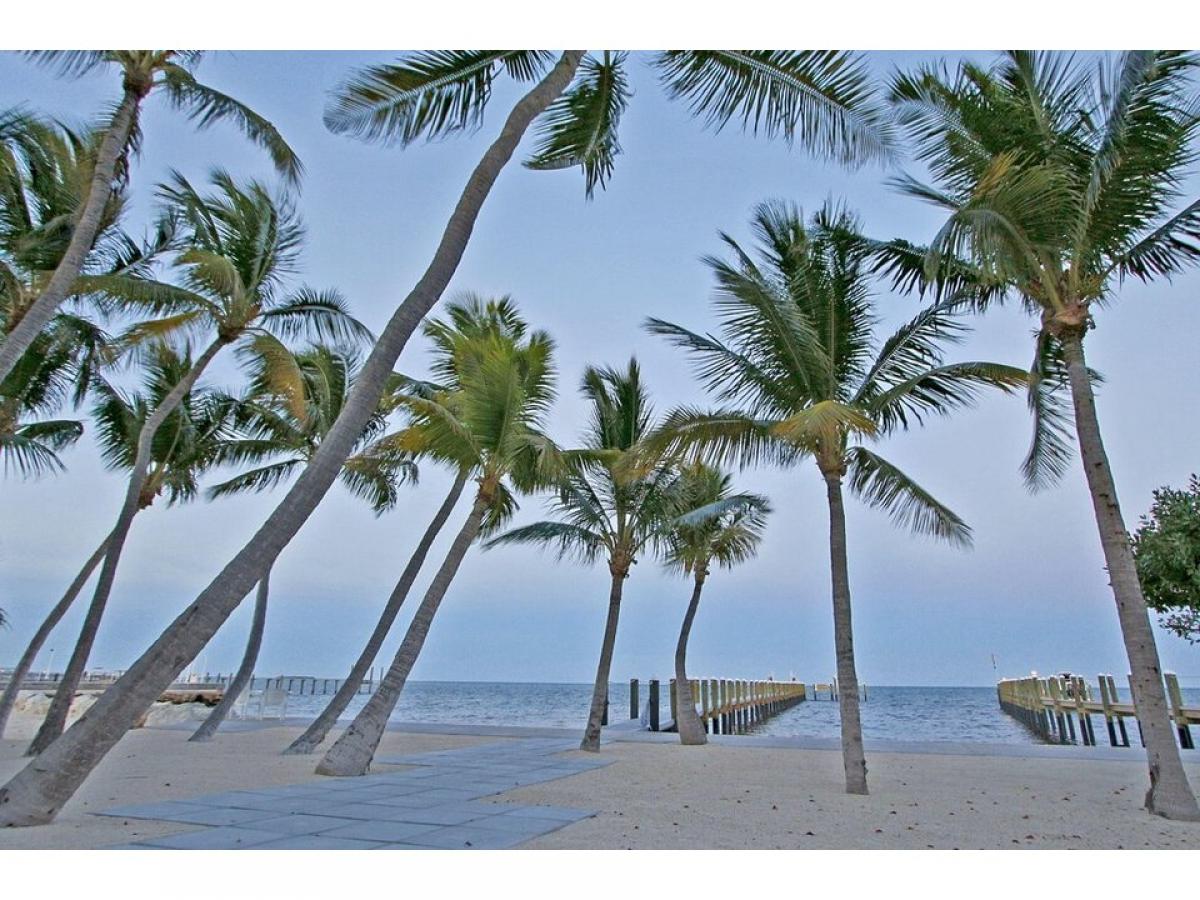 Picture of Home For Sale in Plantation Key, Florida, United States