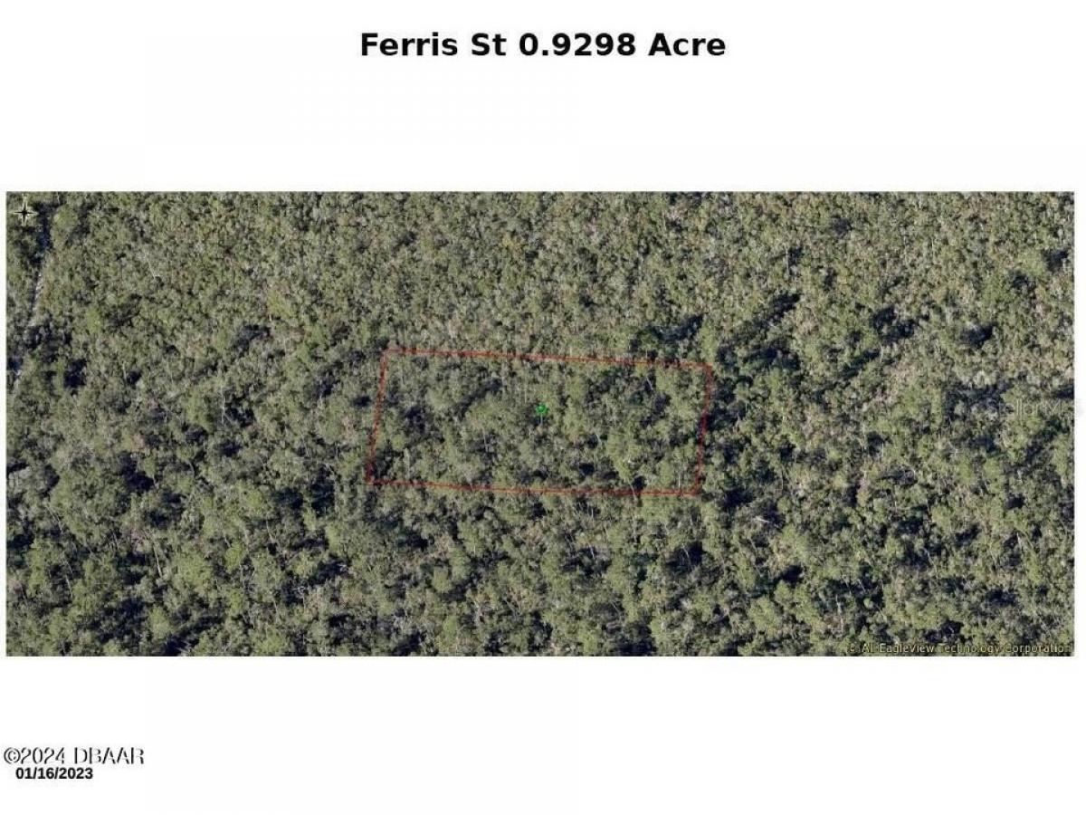 Picture of Residential Land For Sale in Lake Helen, Florida, United States