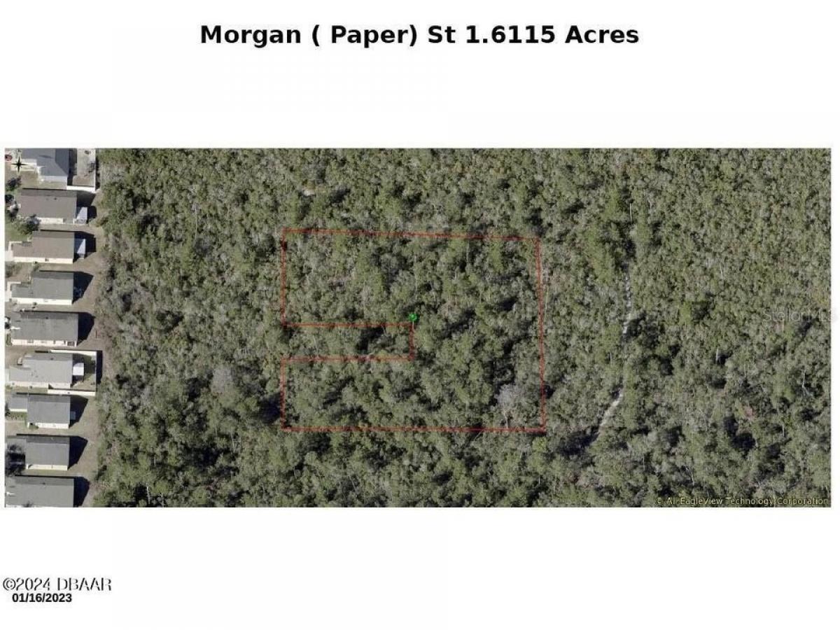 Picture of Residential Land For Sale in Lake Helen, Florida, United States