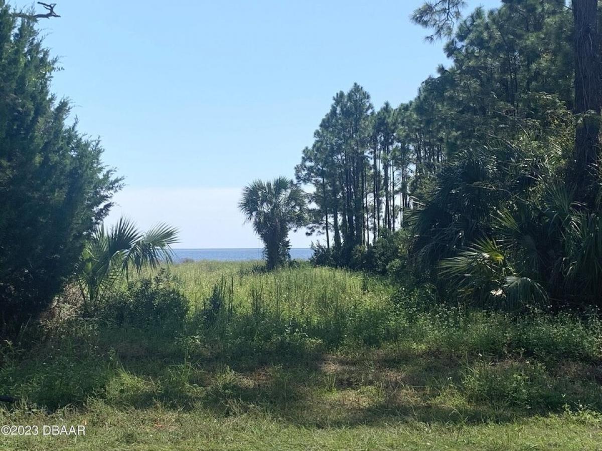 Picture of Residential Land For Sale in Carrabelle, Florida, United States