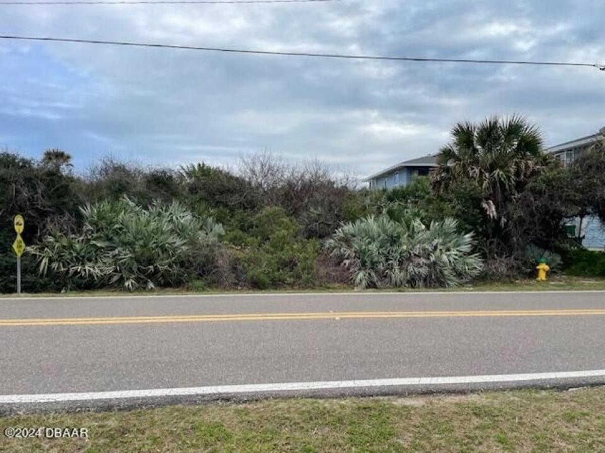 Picture of Residential Land For Sale in Ponce Inlet, Florida, United States