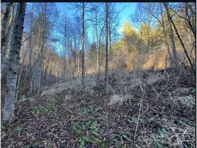 Residential Land For Sale in Marshall, North Carolina