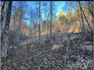 Residential Land For Sale in Marshall, North Carolina