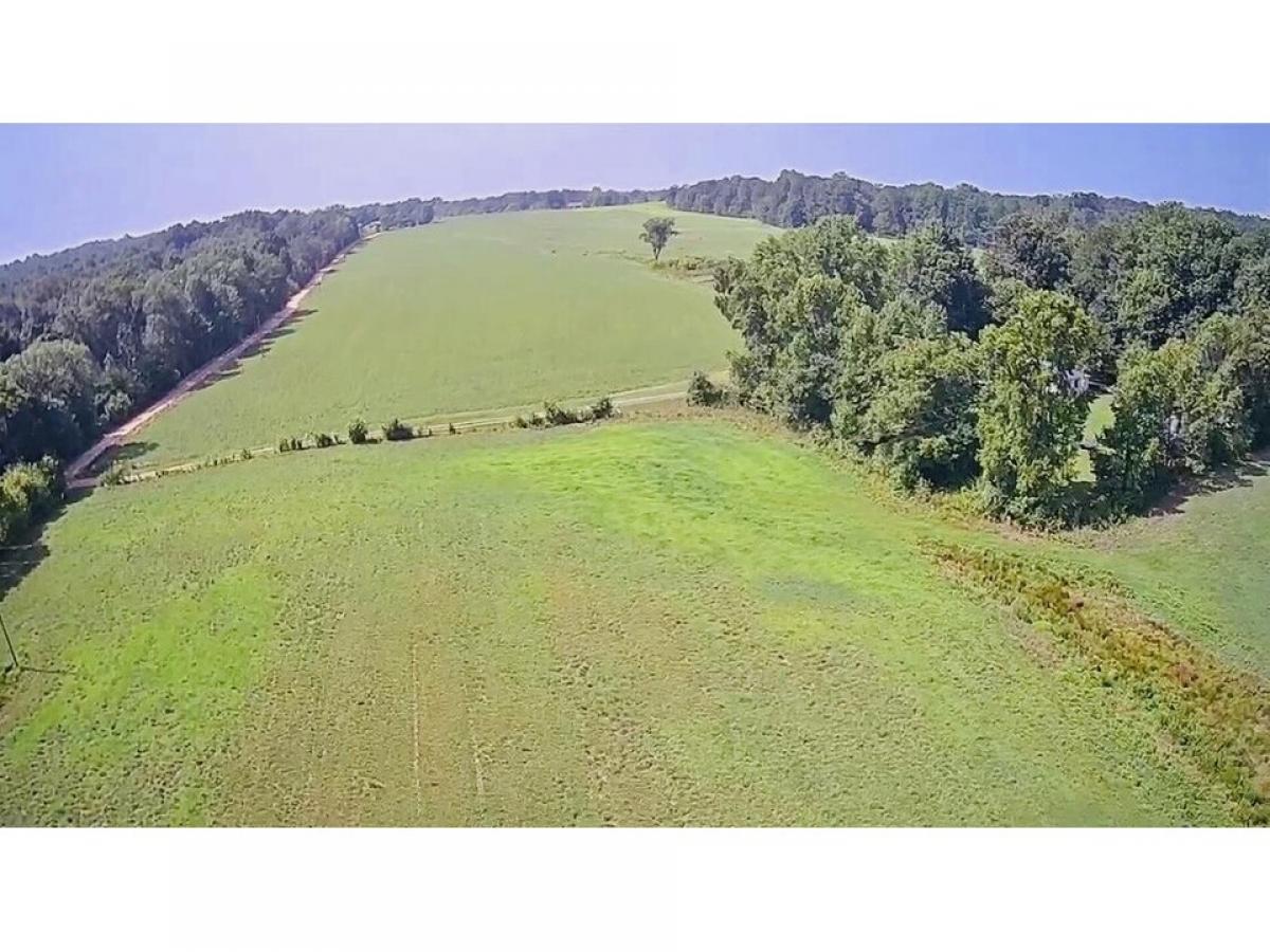 Picture of Residential Land For Sale in Ider, Alabama, United States