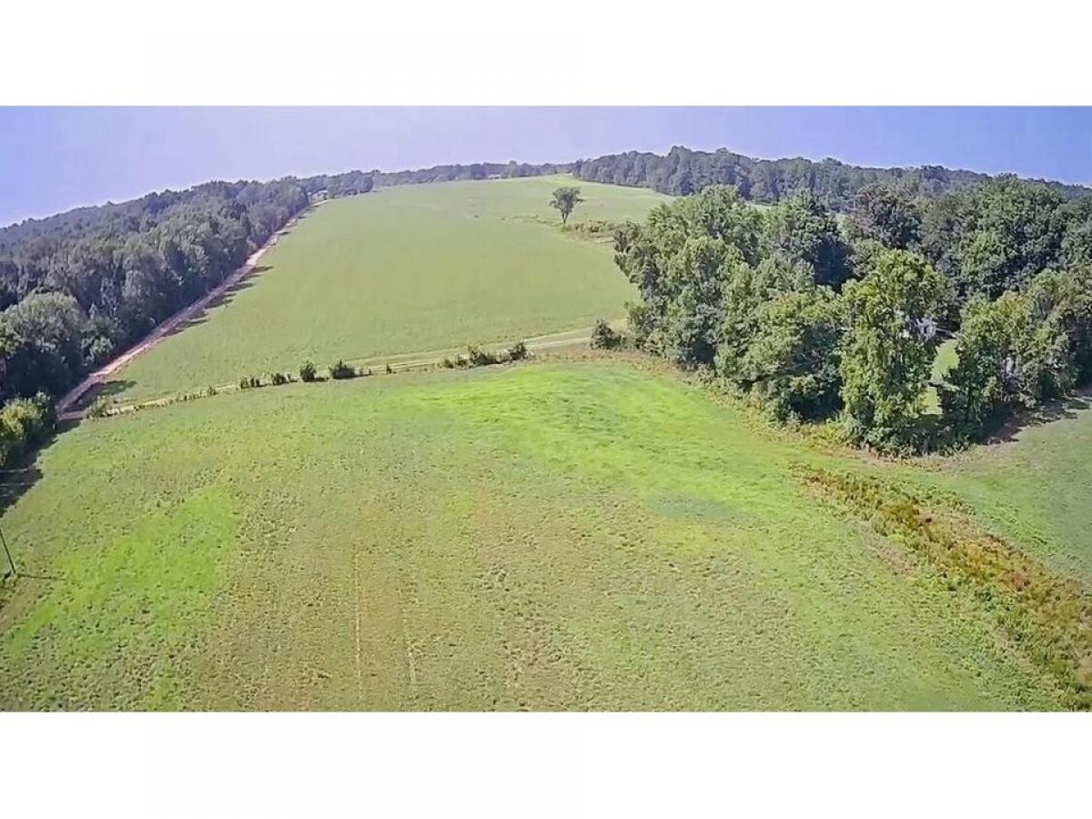 Picture of Residential Land For Sale in Ider, Alabama, United States