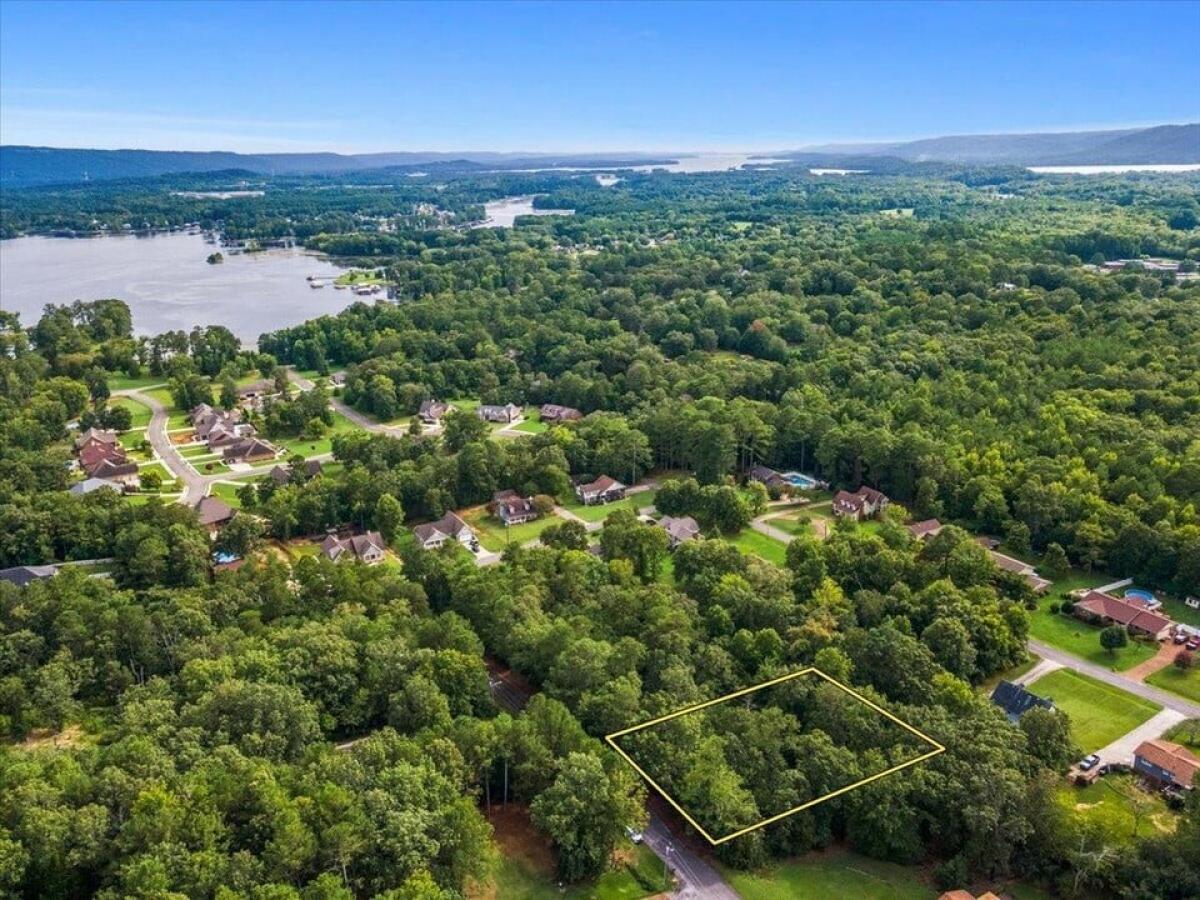 Picture of Residential Land For Sale in Scottsboro, Alabama, United States