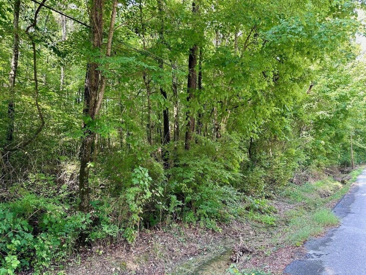 Picture of Residential Land For Sale in Ooltewah, Tennessee, United States