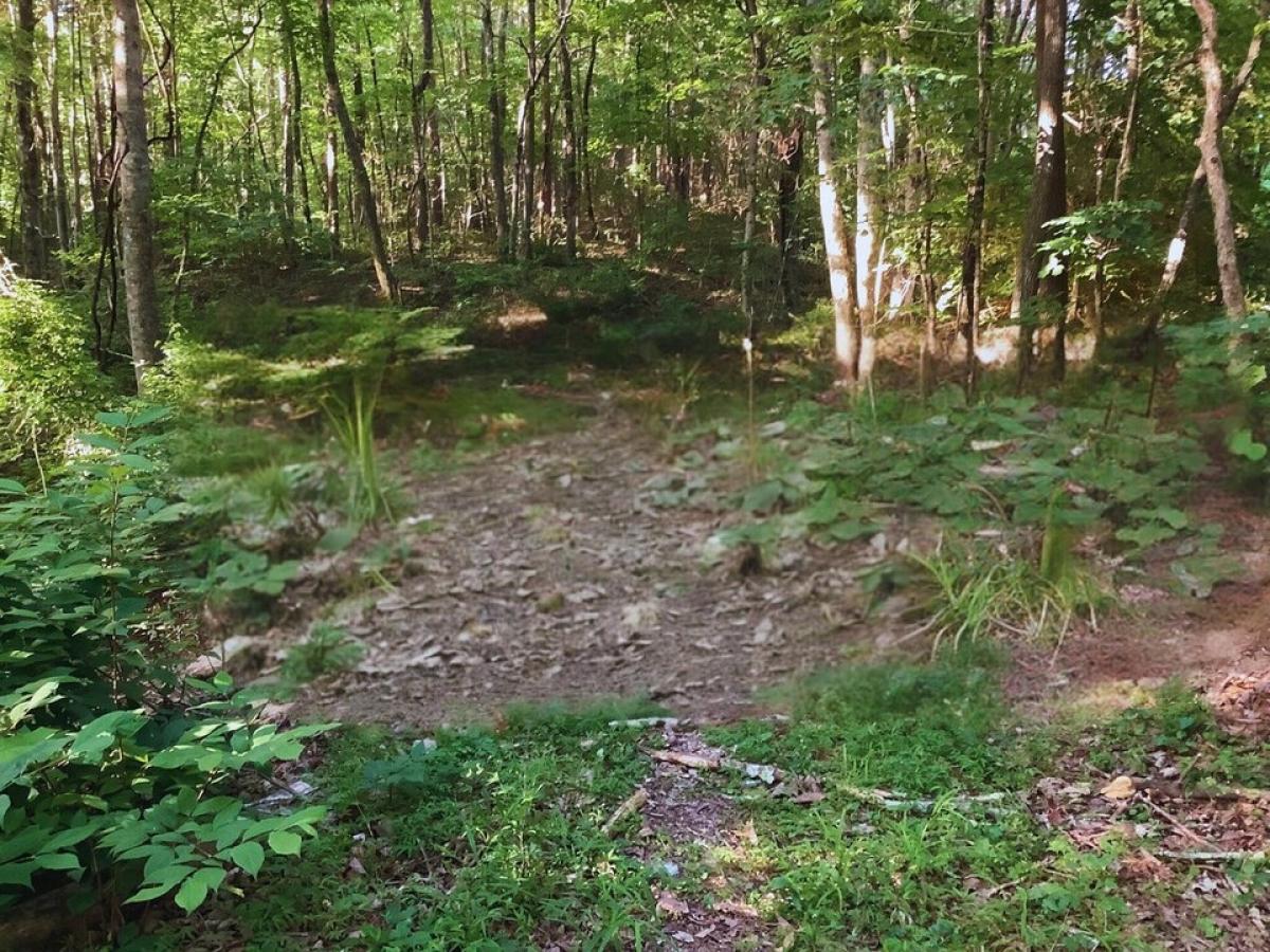 Picture of Residential Land For Sale in Signal Mountain, Tennessee, United States