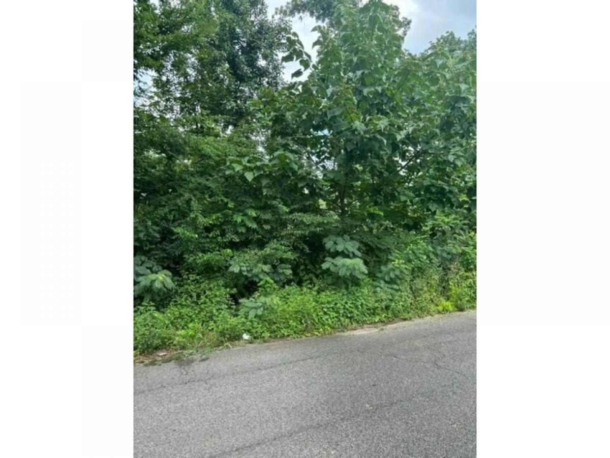 Picture of Residential Land For Sale in Chattanooga, Tennessee, United States