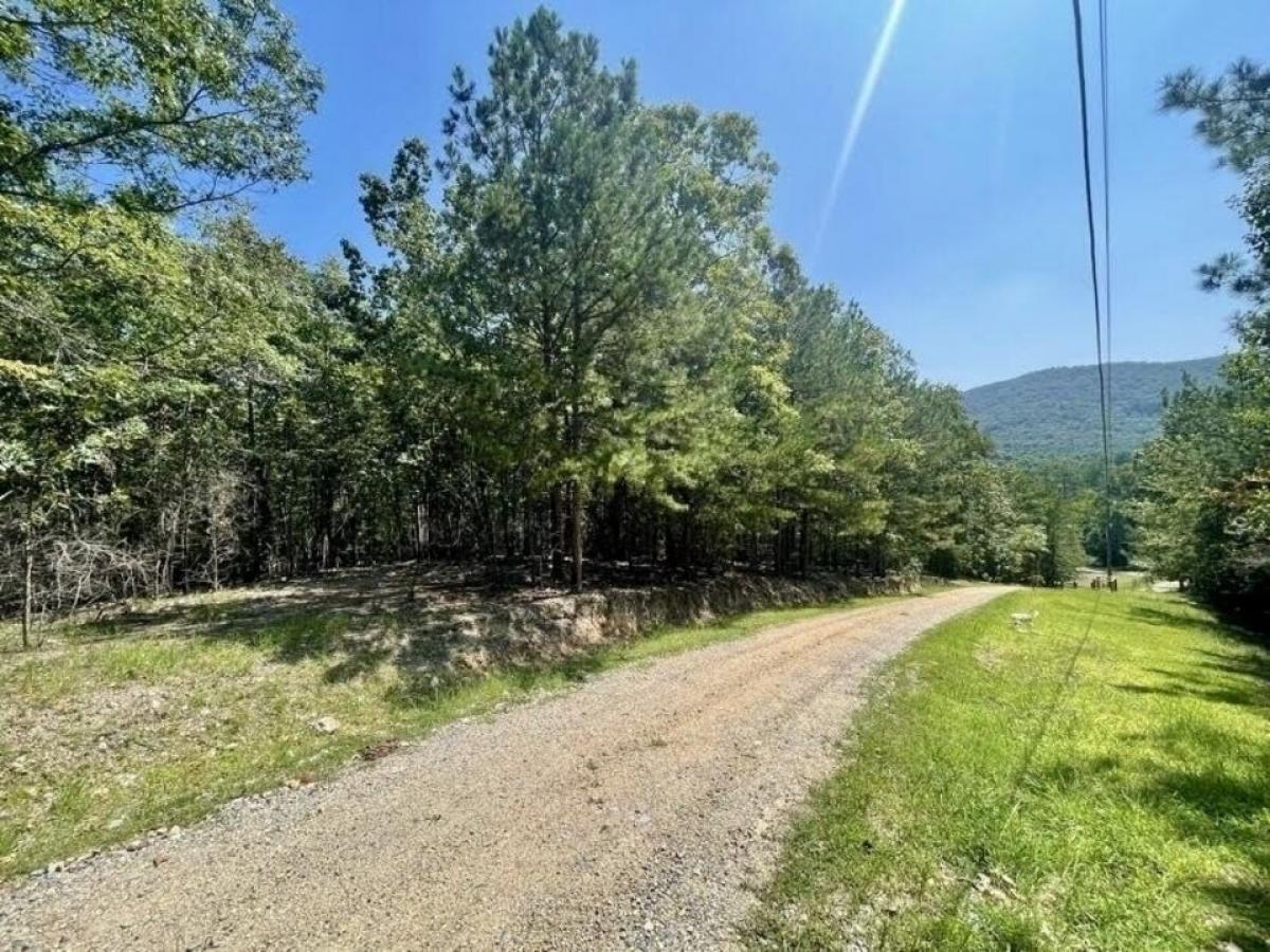 Picture of Residential Land For Sale in Summerville, Georgia, United States