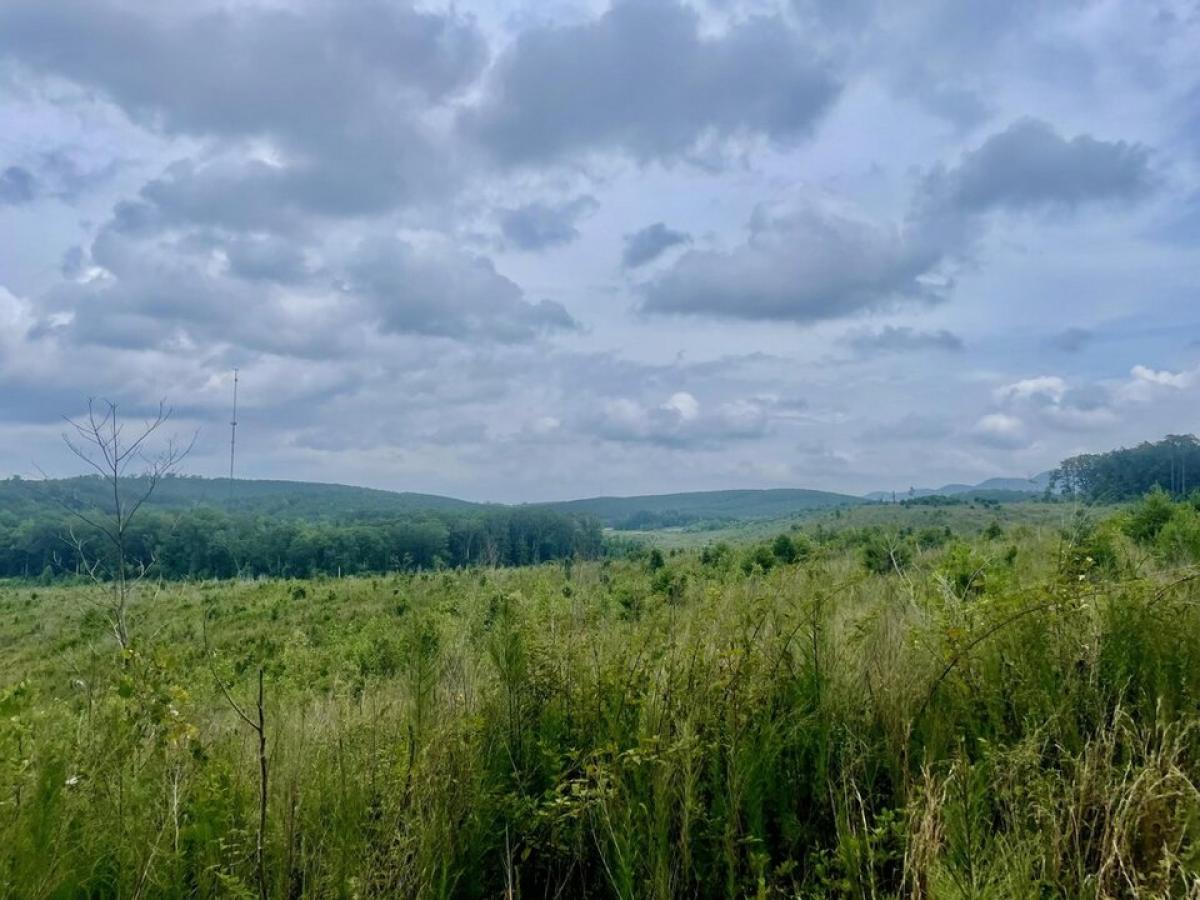 Picture of Residential Land For Sale in Summerville, Georgia, United States