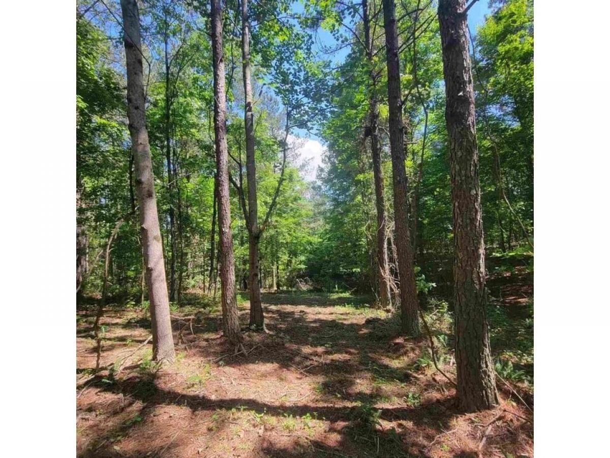 Picture of Residential Land For Sale in Guild, Tennessee, United States