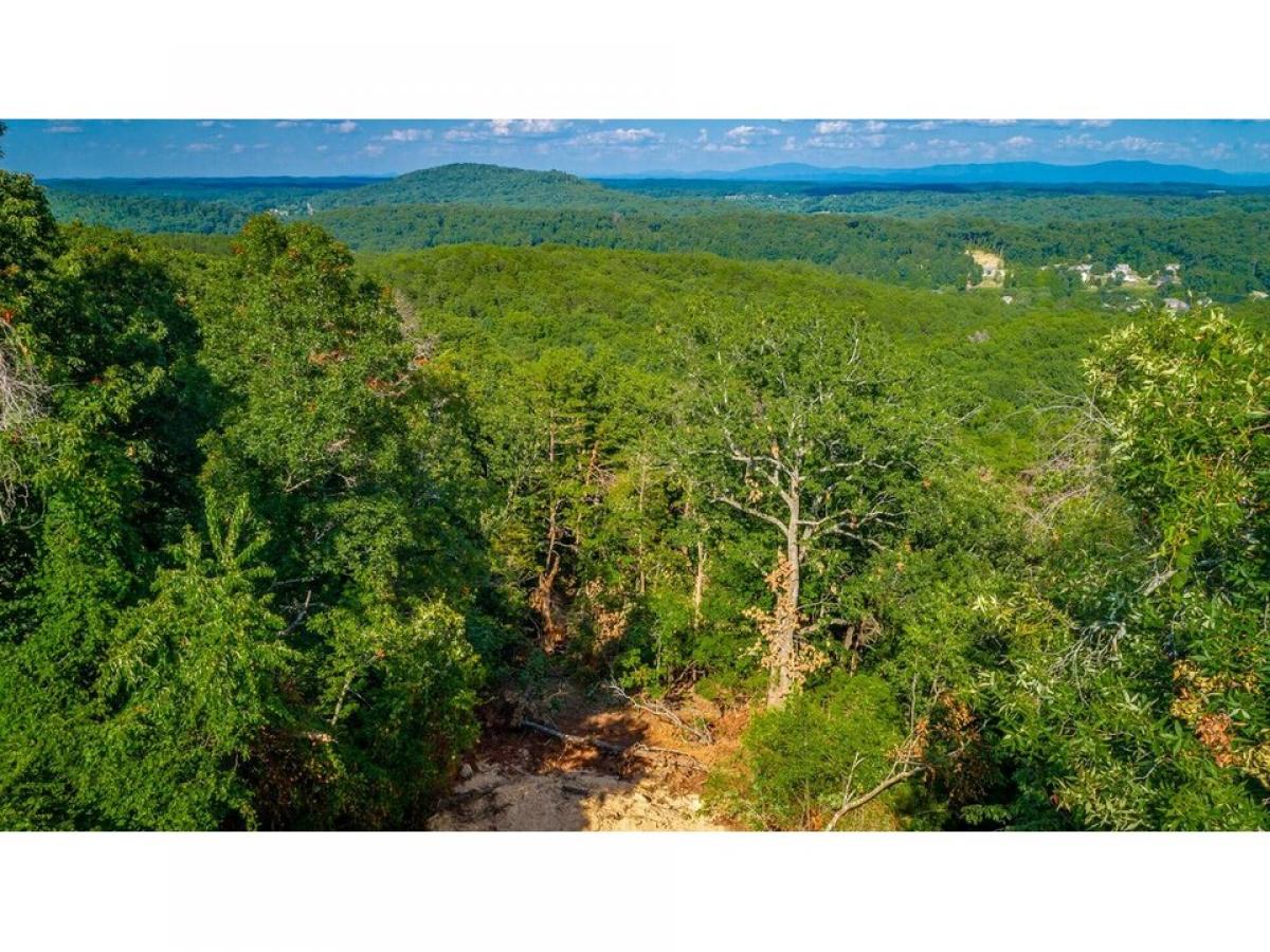 Picture of Residential Land For Sale in Ringgold, Georgia, United States