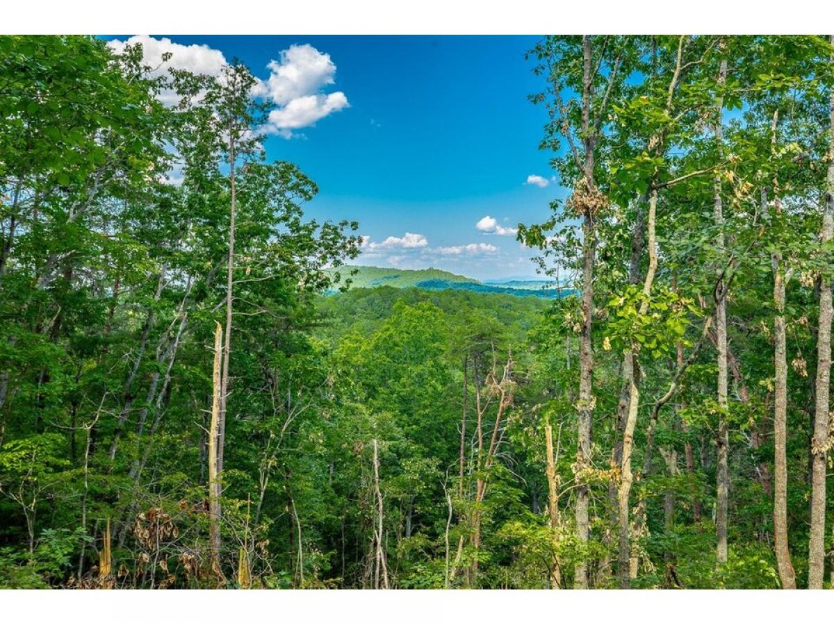 Picture of Residential Land For Sale in Ringgold, Georgia, United States