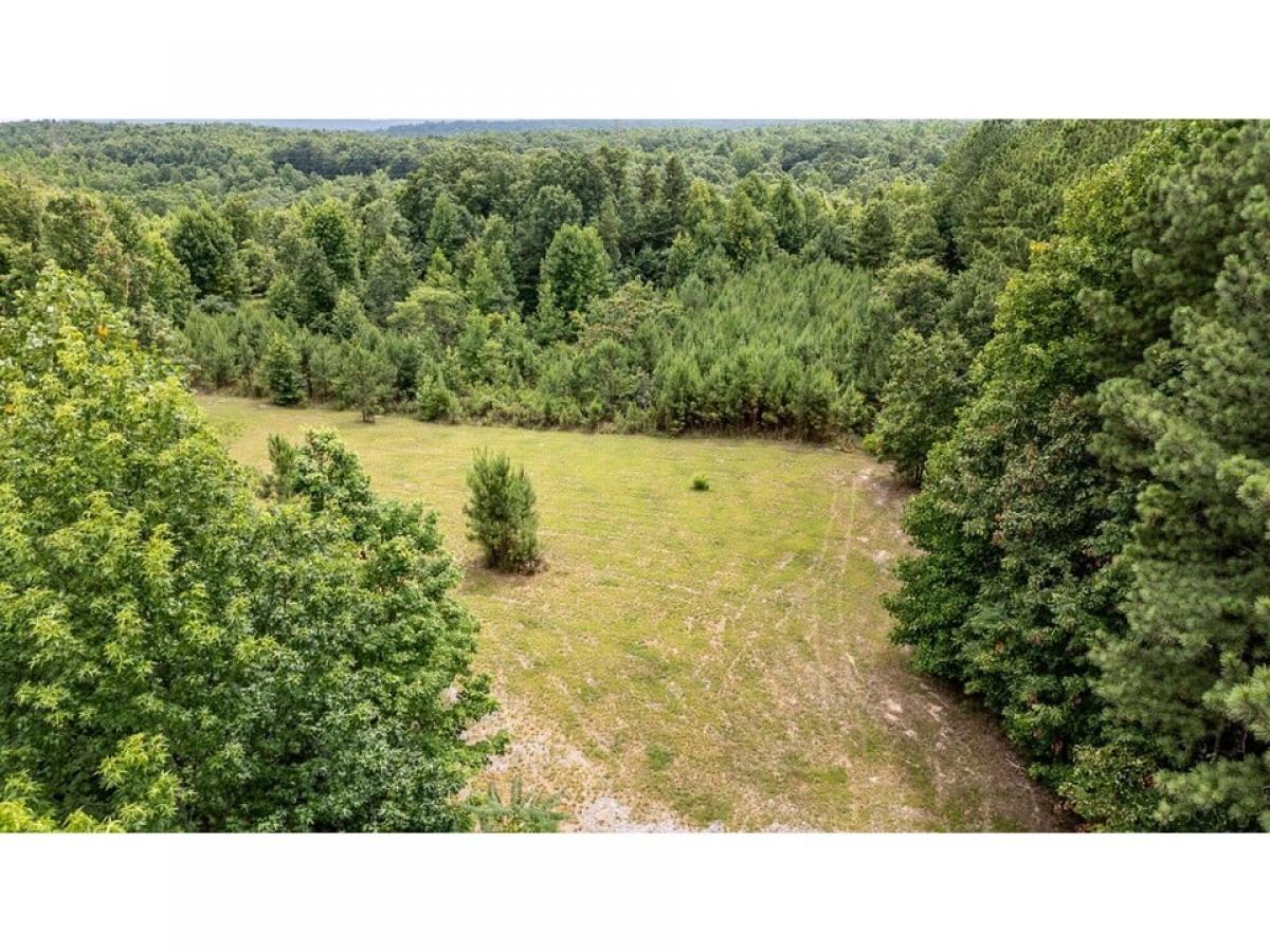 Picture of Residential Land For Sale in South Pittsburg, Tennessee, United States