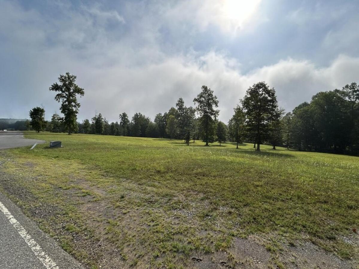 Picture of Residential Land For Sale in Jasper, Tennessee, United States