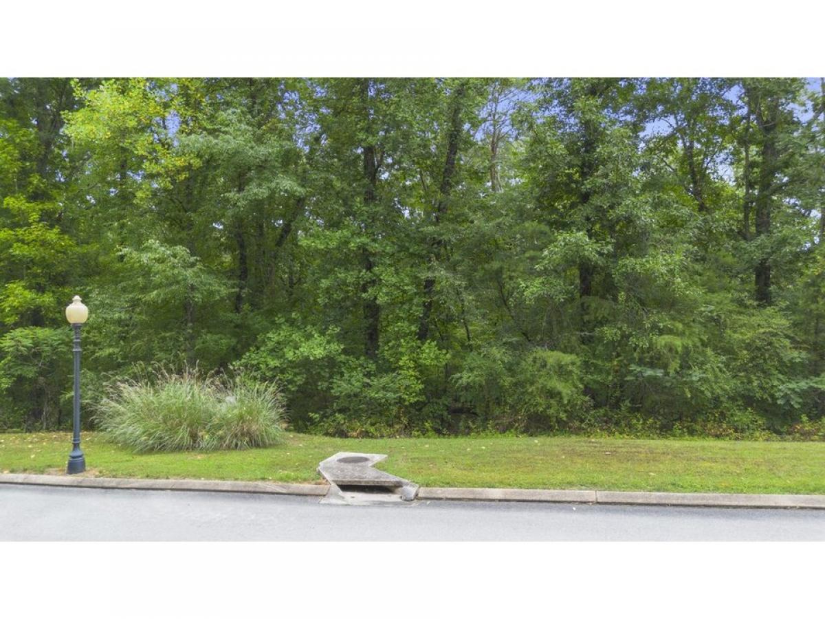 Picture of Residential Land For Sale in Soddy Daisy, Tennessee, United States