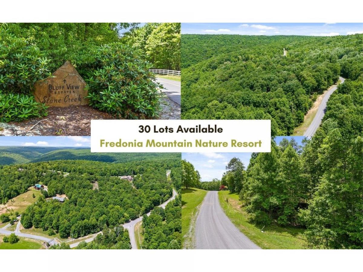 Picture of Residential Land For Sale in Dunlap, Tennessee, United States