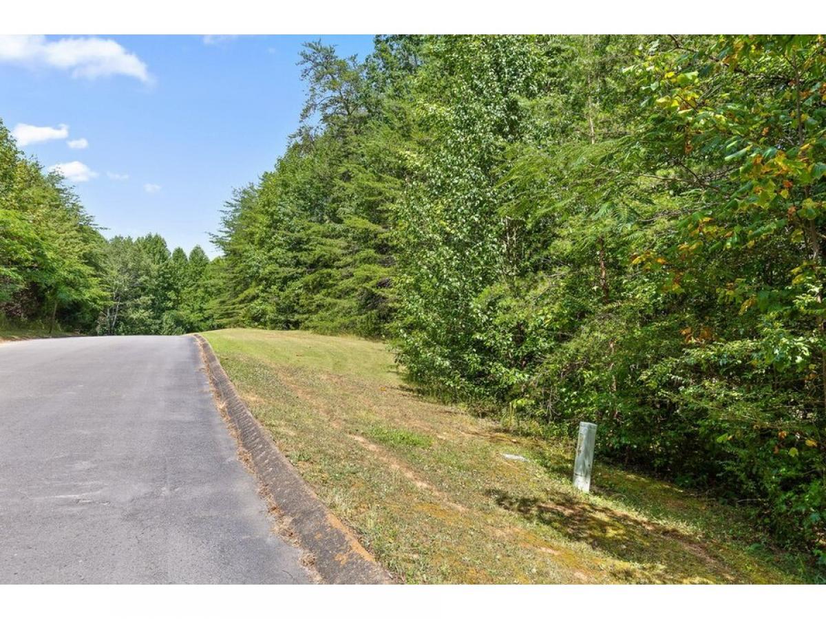 Picture of Residential Land For Sale in Dunlap, Tennessee, United States