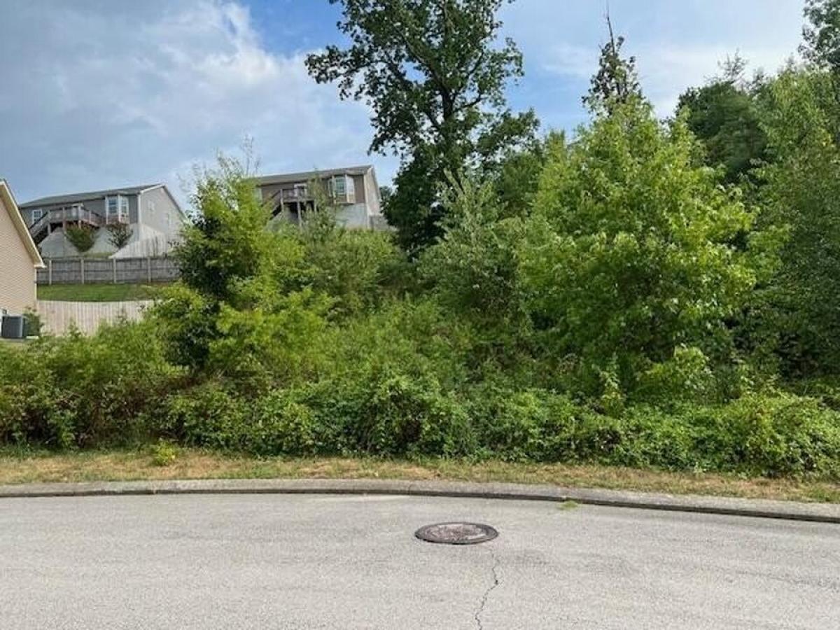 Picture of Residential Land For Sale in Soddy Daisy, Tennessee, United States