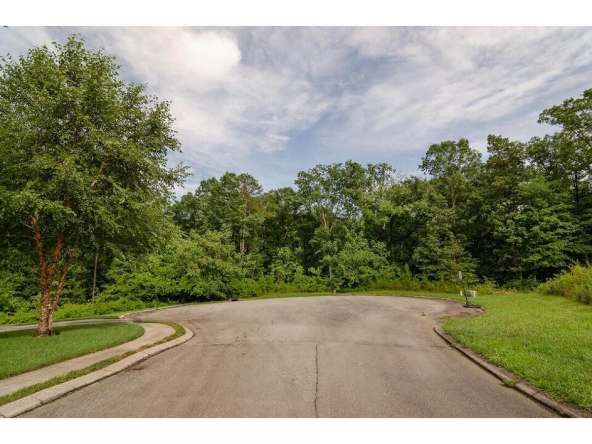 Picture of Residential Land For Sale in Soddy Daisy, Tennessee, United States