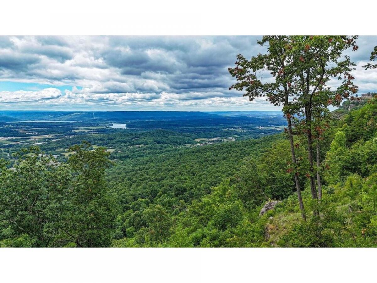 Picture of Residential Land For Sale in Jasper, Tennessee, United States