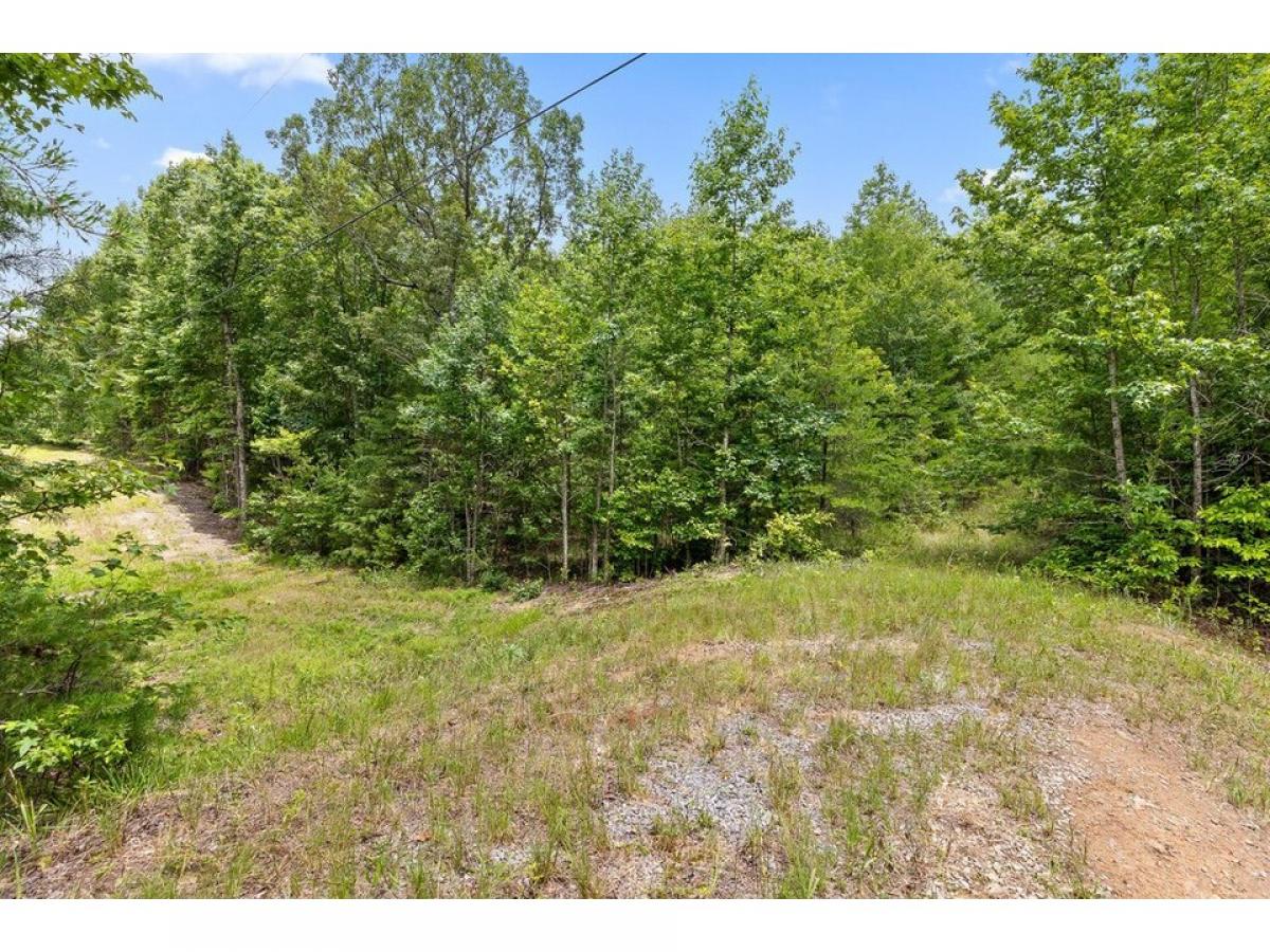 Picture of Residential Land For Sale in Menlo, Georgia, United States