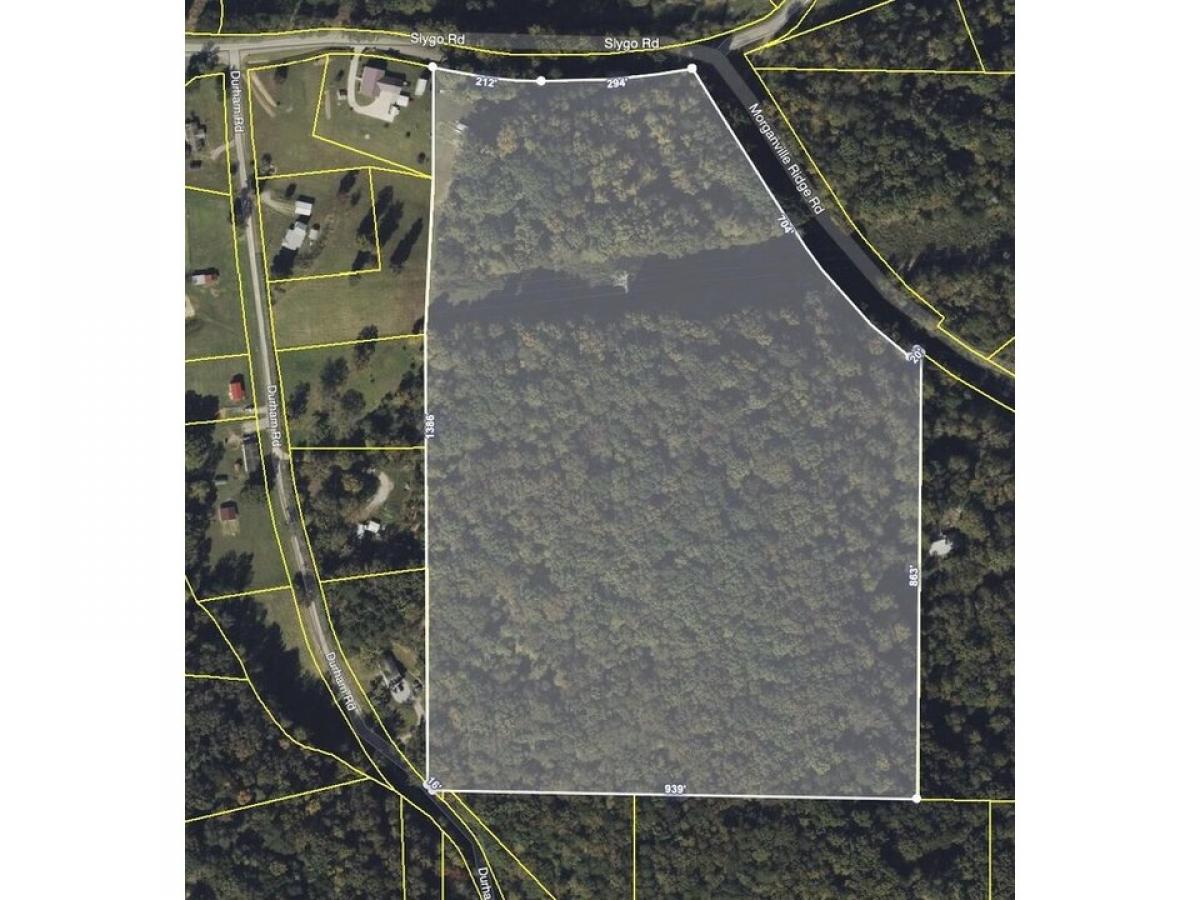 Picture of Residential Land For Sale in Trenton, Georgia, United States